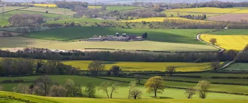 Sutton Scarsdale farm spring sun shadow.jpg